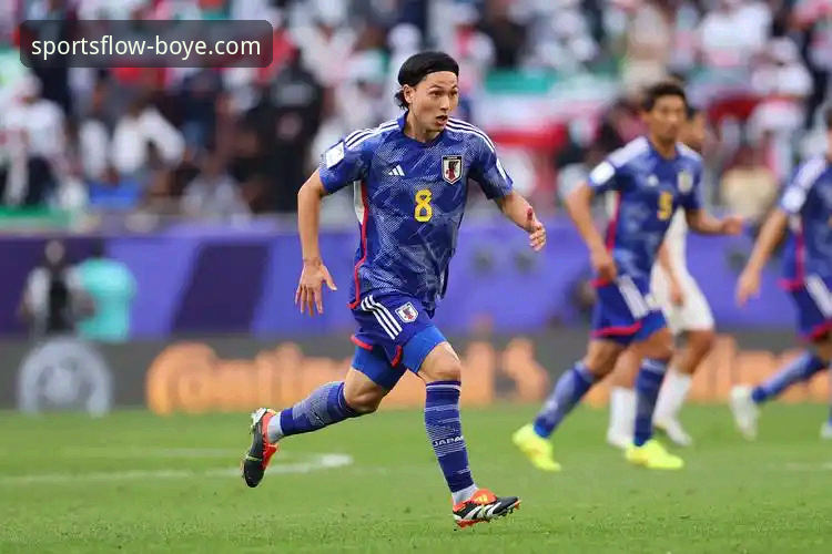 博业体育旧版本下载全面解析：资深用户带你了解版本升级背后的实用价值